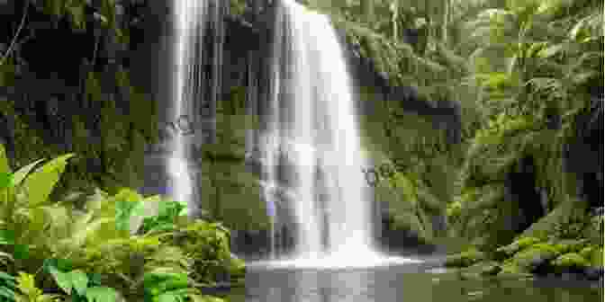 A Breathtaking Waterfall Cascading Through A Lush Forest The Sacred Depths Of Nature