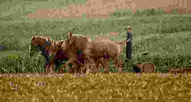 A Group Of Farmers Plowing A Field Energy And Civilization: A History