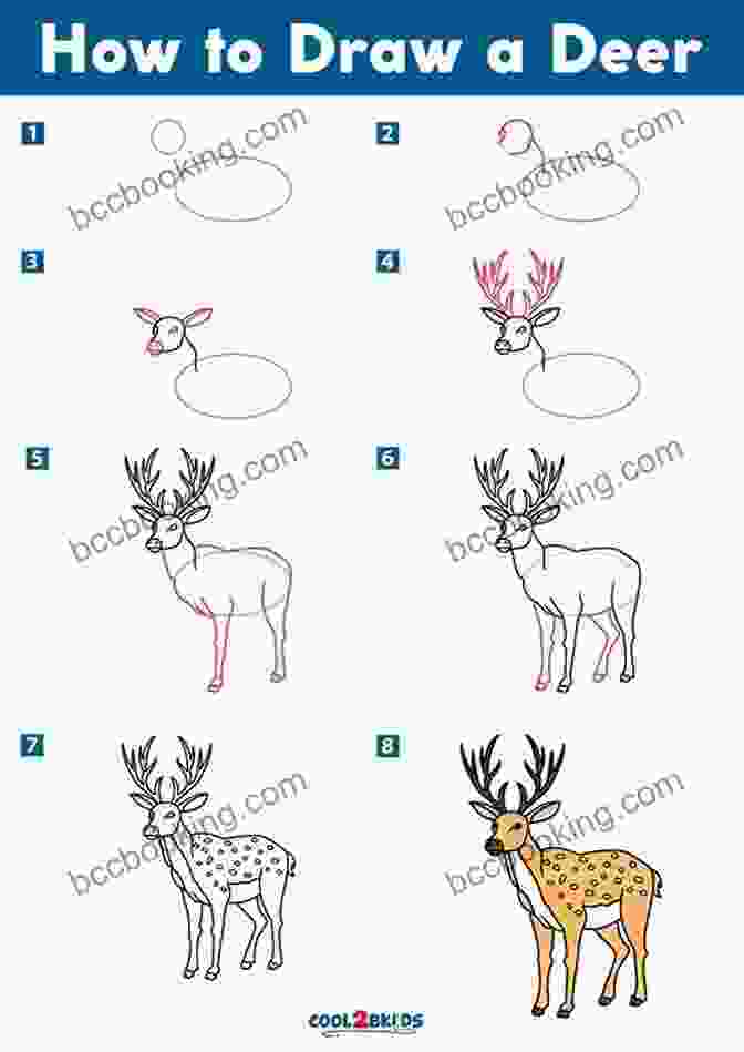 A Series Of Step By Step Drawings Showing How To Draw A Deer How To Draw: Woodland Animals: In Simple Steps
