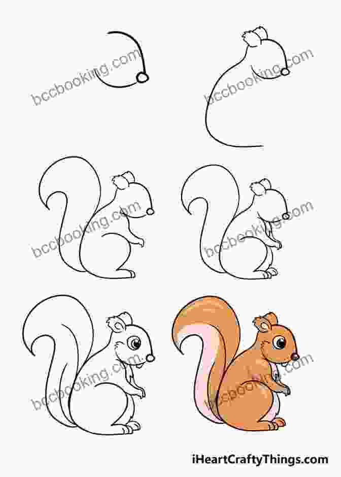 A Step By Step Drawing Of A Squirrel How To Draw: Woodland Animals: In Simple Steps