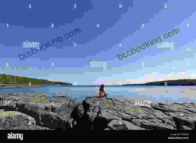 A Young Girl Stands On A Rocky Shore, Looking Out At A Lighthouse In The Distance. Hello Lighthouse Sophie Blackall