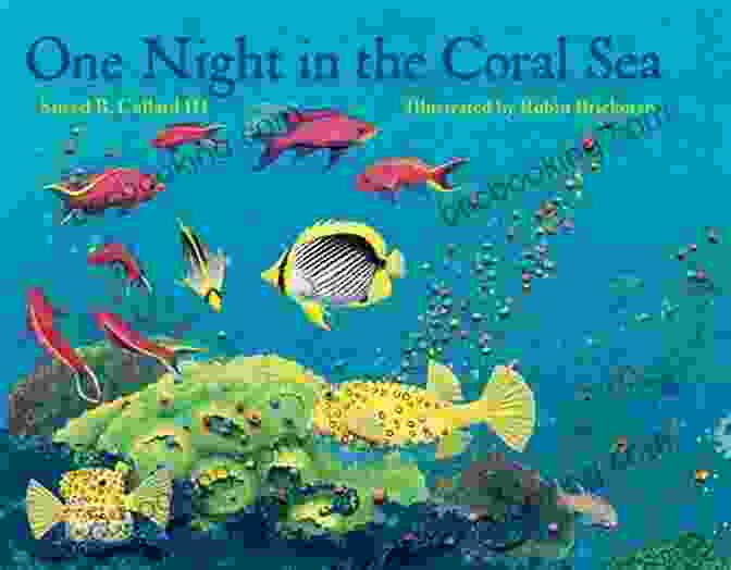 Around The Coral Sea Book Cover Headhunting In The Solomon Islands: Around The Coral Sea