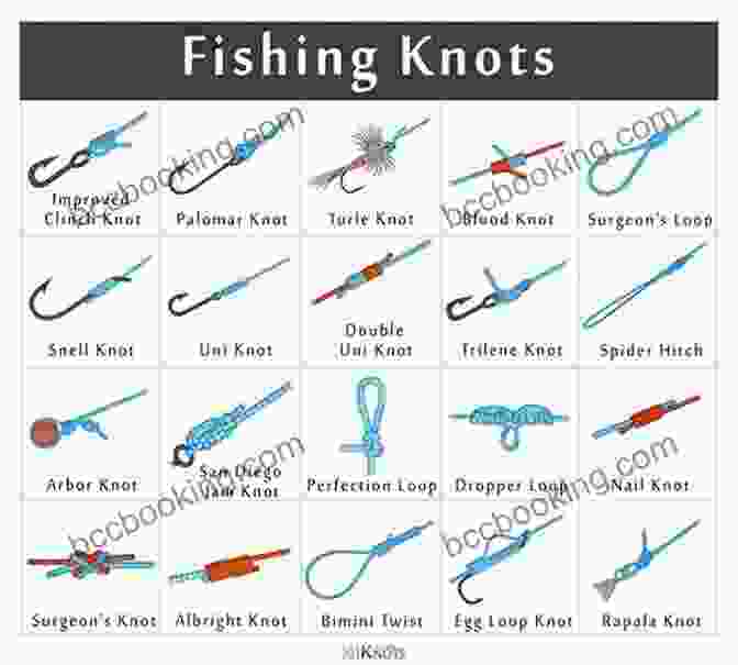 Carolina Rig Light Rock Fishing Hard Rock Fishing Knots Rigs (Fishing Knots And Rigs)