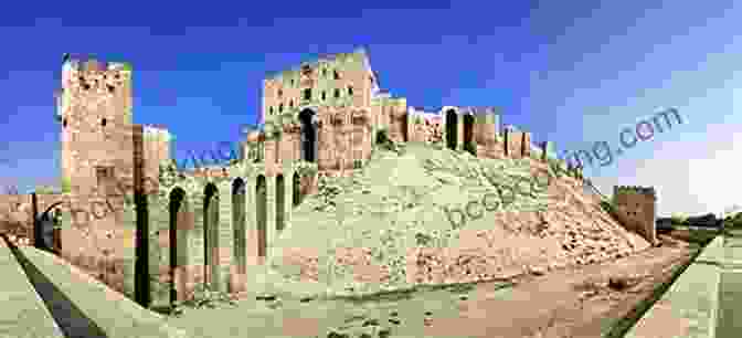 Citadel Of Aleppo The Ayyubid Era Art And Architecture In Medieval Syria (Islamic Art In The Mediterranean)