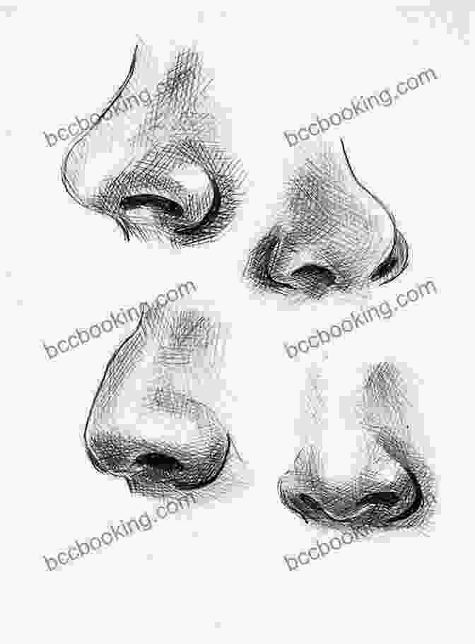 Draw The Nose How To Draw: Faces: In Simple Steps