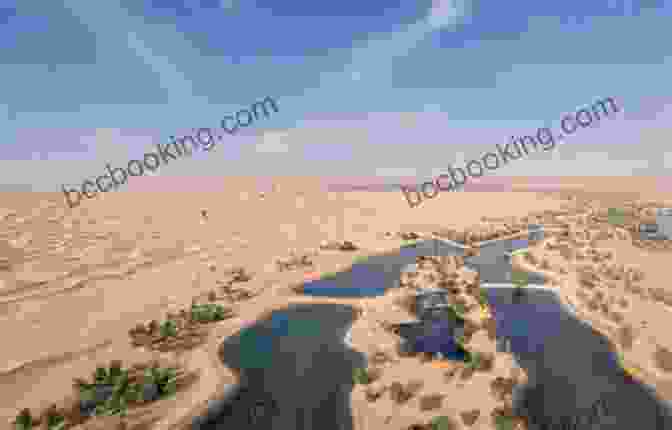 Exploring The Serene And Tranquil Al Qudra Lakes Insight Guides Explore Dubai (Travel Guide EBook)