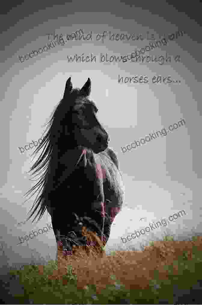 Horse And Rider In A Spiritual Connection Zen Mind Zen Horse: The Science And Spirituality Of Working With Horses
