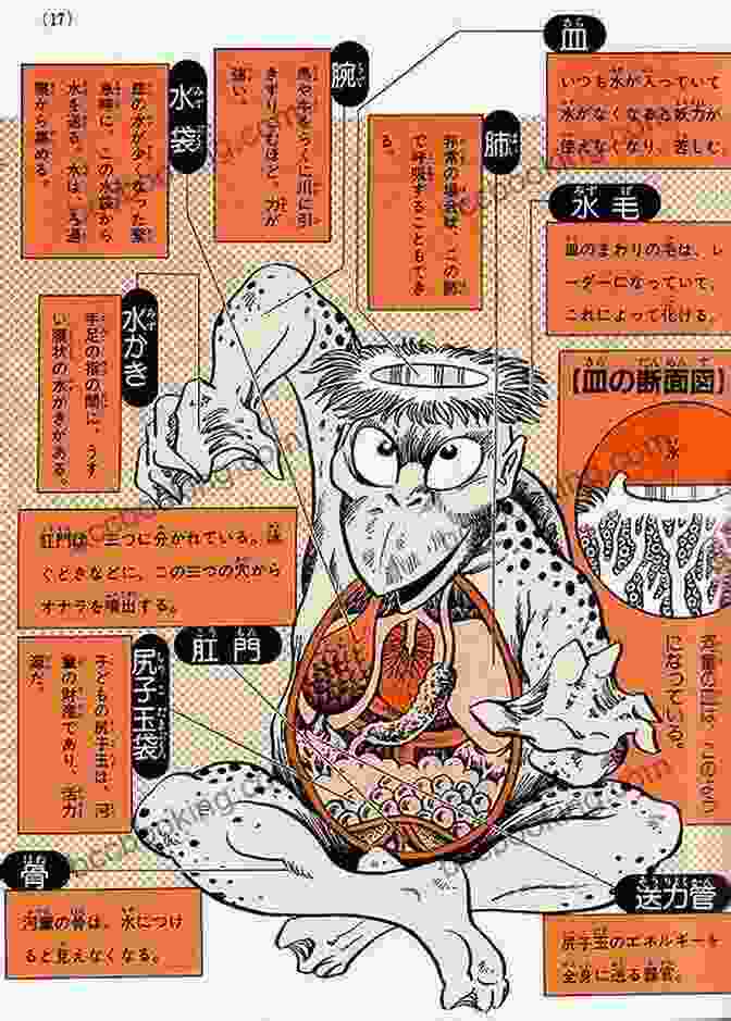 Illustration Of A Kappa By Shigeru Mizuki Tono Monogatari Shigeru Mizuki