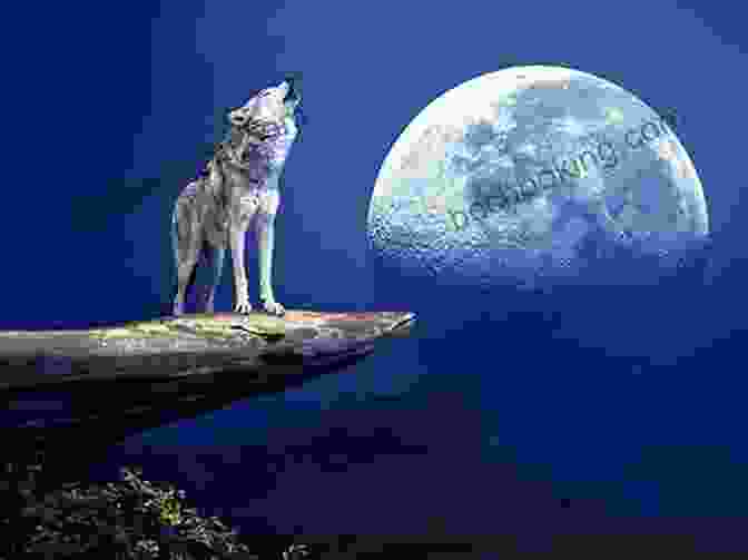 Image Of Napi The Wolves Book Cover Featuring A Wolf Howling Under A Starry Night NAPI The Wolves: Level 3 Reader (NAPI: Level 3 4)
