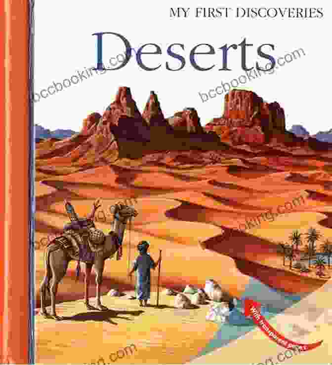 Islands In The Desert Book Cover Featuring A Woman Standing On A Beach With A Blurred Island In The Background Islands In The Desert Thais Riotto