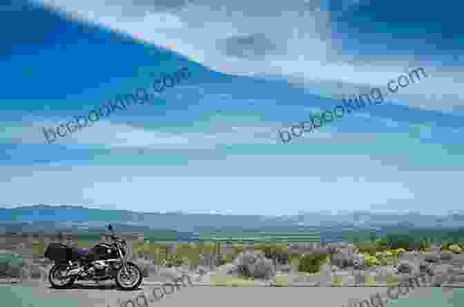 Leo Savage Riding His Motorcycle Through A Desolate Landscape Leo (Savage Kings MC South Carolina 12)