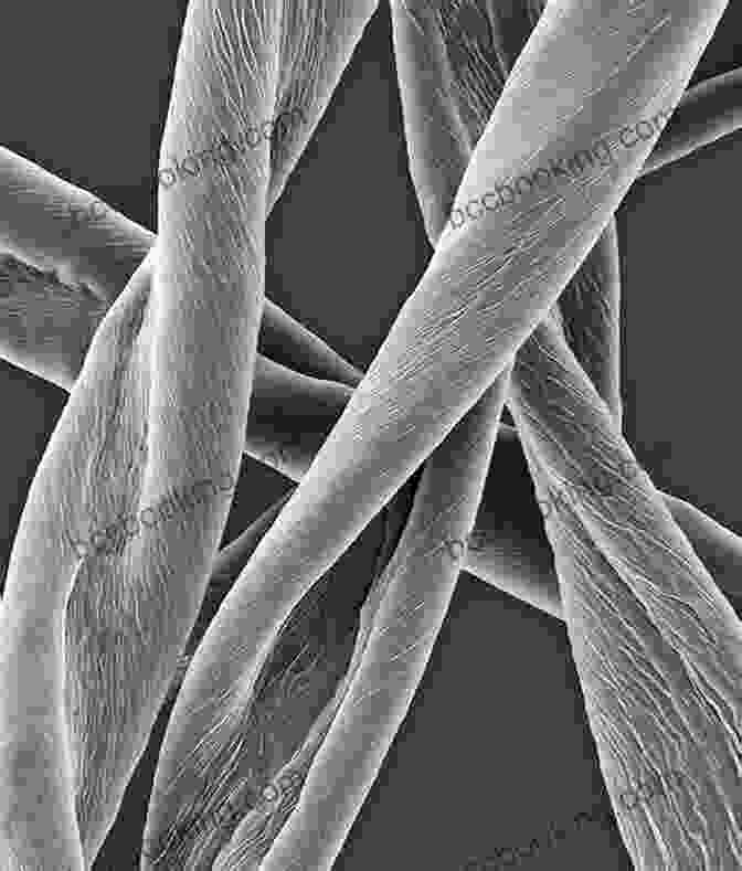 Microscopic Image Of Sports Textile Fibers Textiles In Sport (Woodhead Publishing In Textiles)