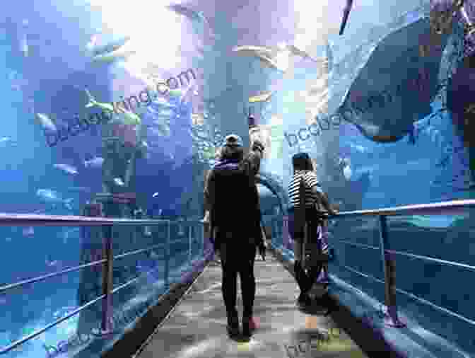 Sea Life Melbourne Aquarium, Australia Melbourne Travel Guide 2024 : 20 Cool Things To Do During Your Trip To Melbourne