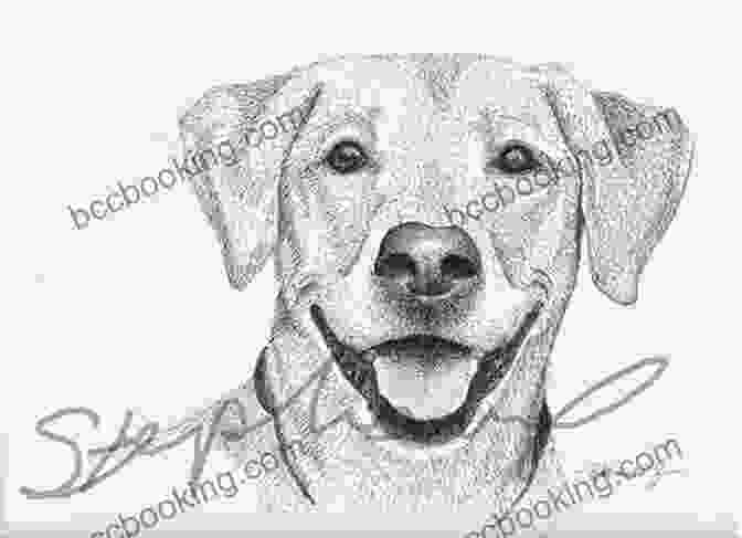 Sketch Of A Dog With Depth And Dimension How To Draw: Dogs: In Simple Steps