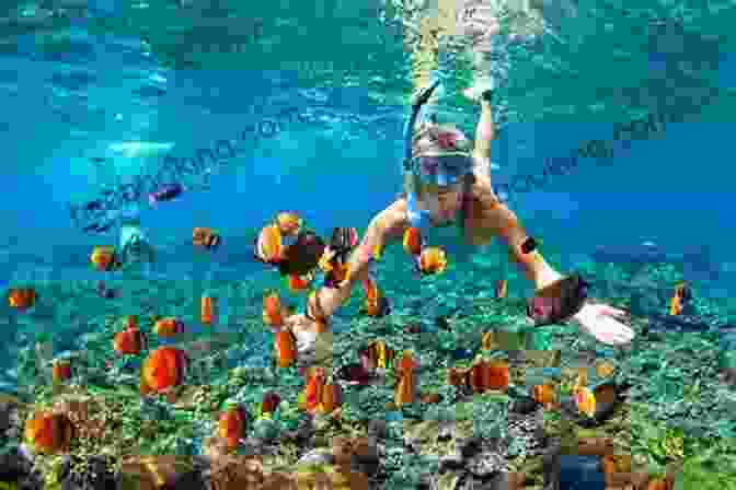 Snorkeling In The Ocean Cruise Riddles For Kids: A Fun Way To Survive Family Cruise Vacations