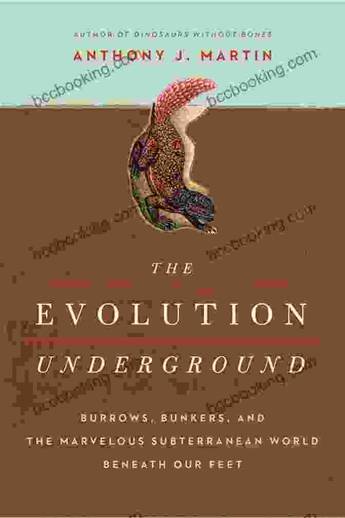Subterranean Worlds Beneath Our Feet Underground: A Human History Of The Worlds Beneath Our Feet