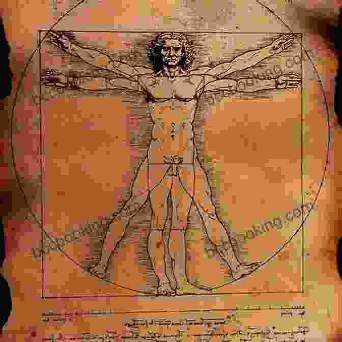 The Vitruvian Man By Leonardo Da Vinci Leonardo Da Vinci Walter Isaacson