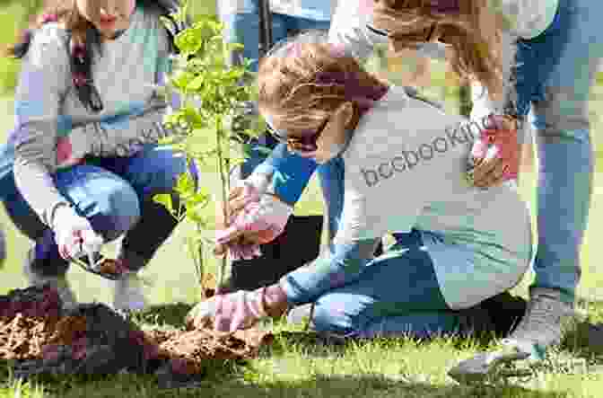 Volunteers Planting Trees In A Park The Sacred Depths Of Nature