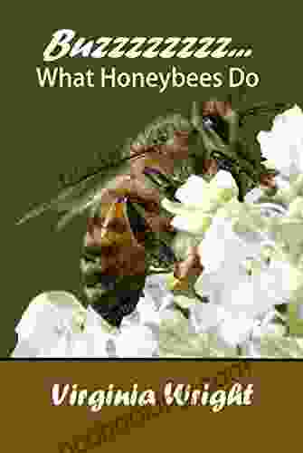 Buzzzzzzzz What Honeybees Do: Learn The Basics About Honeybees Where And How They Live