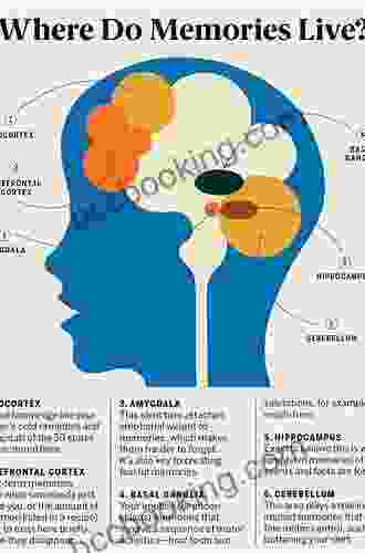 Conscious Mind Resonant Brain: How Each Brain Makes A Mind