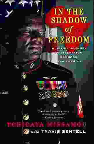 In The Shadow Of Freedom: A Heroic Journey To Liberation Manhood And America