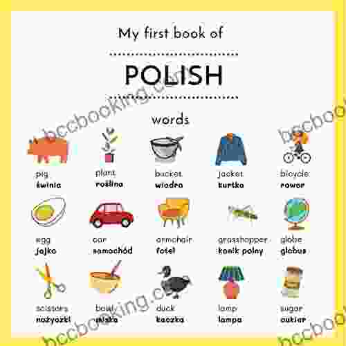 My First Of Polish Words: My First Words In Polish Polish English Picture Dictionary For Bilingual Children Let S Learn Polish