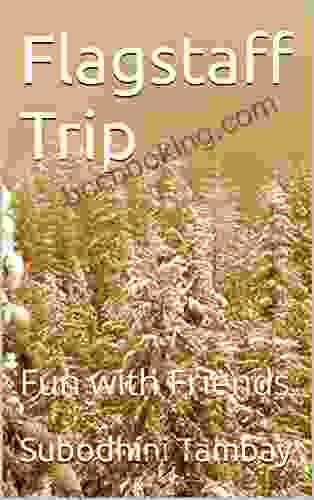 Flagstaff Trip: Fun With Friends